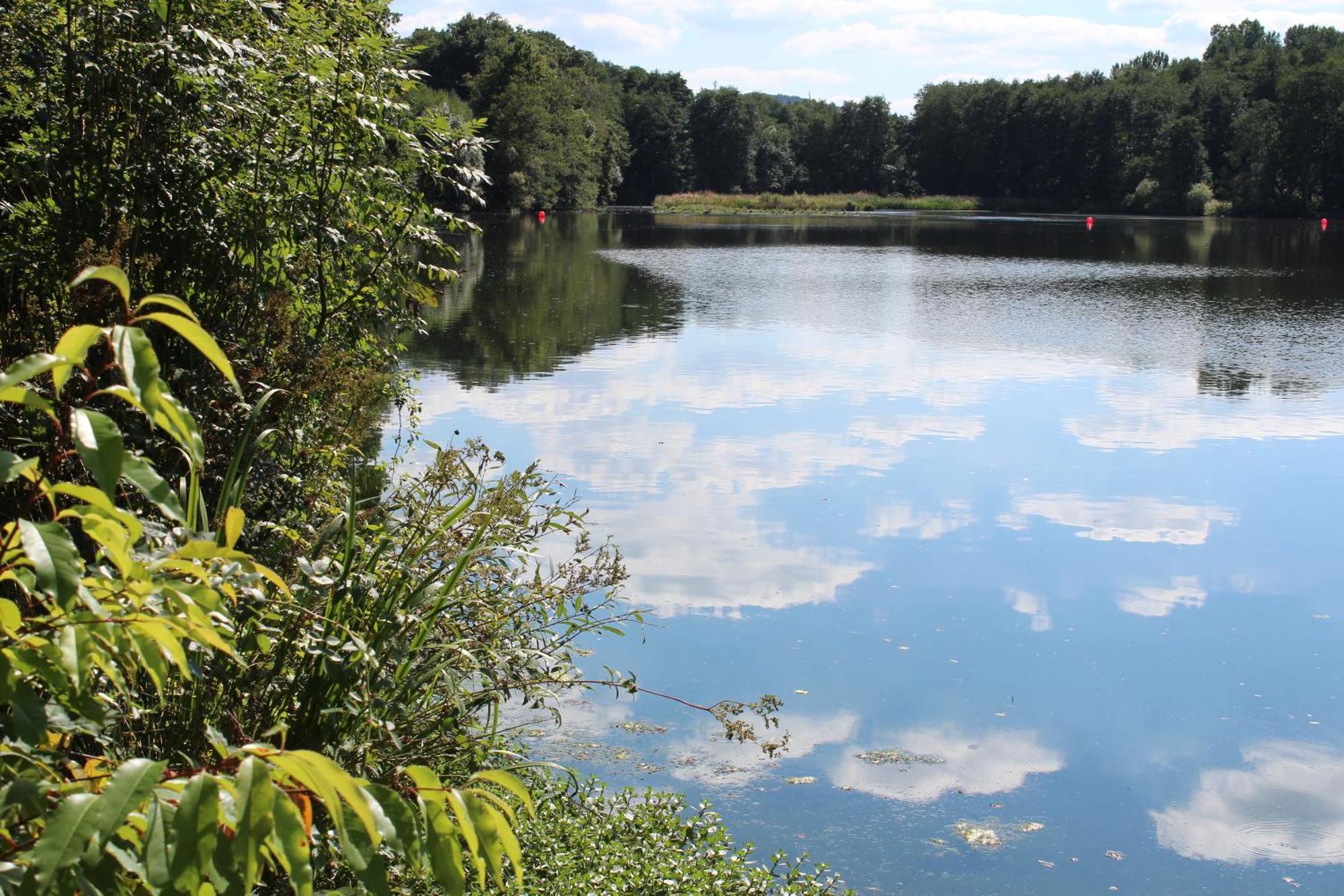 KNAUS Campingpark Hennesee Meschede Buitenkant foto